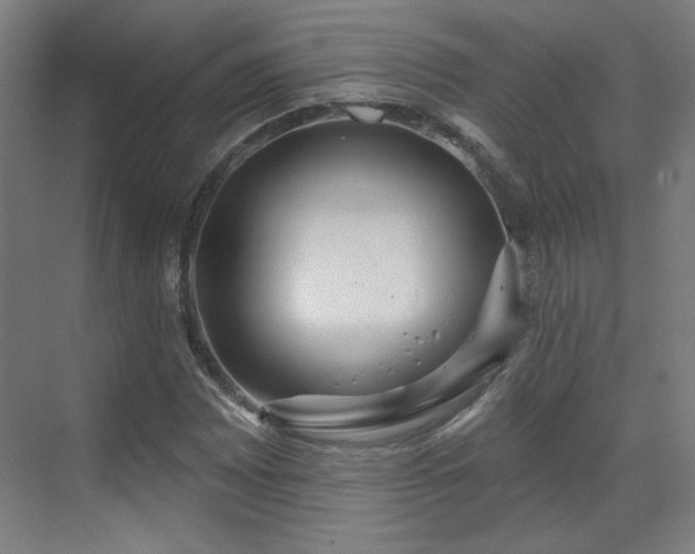 X0000071941065200607141427