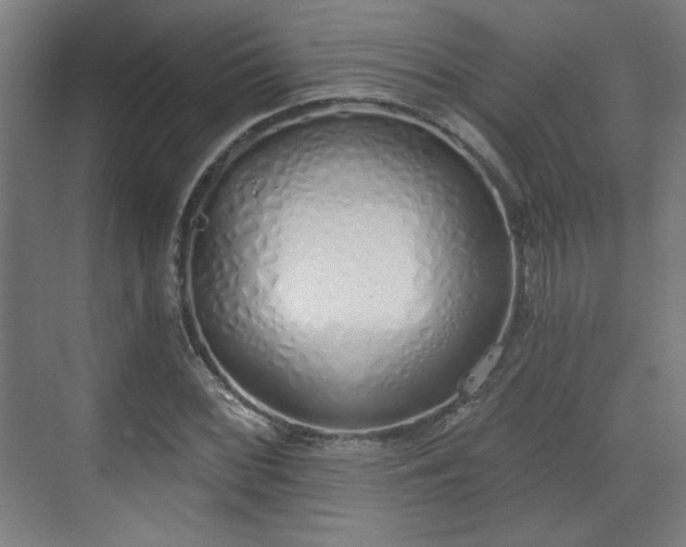 X0000071941068200607141427