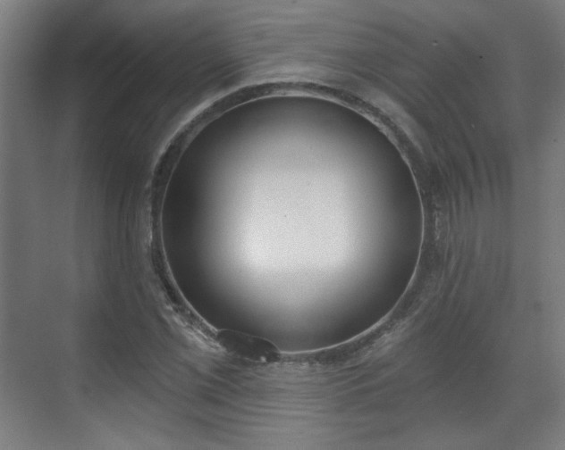 X0000071941069200607141427
