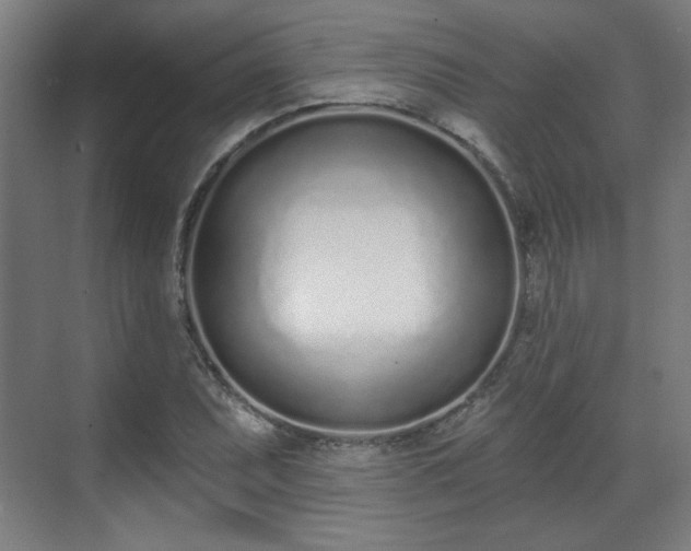 X0000071941071200607141427