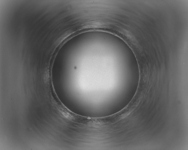 X0000071941073200607141427
