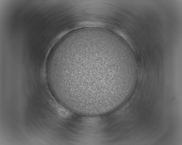X0000071941074200607141427