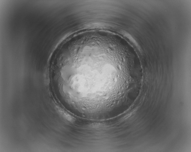 X0000071941075200607141427