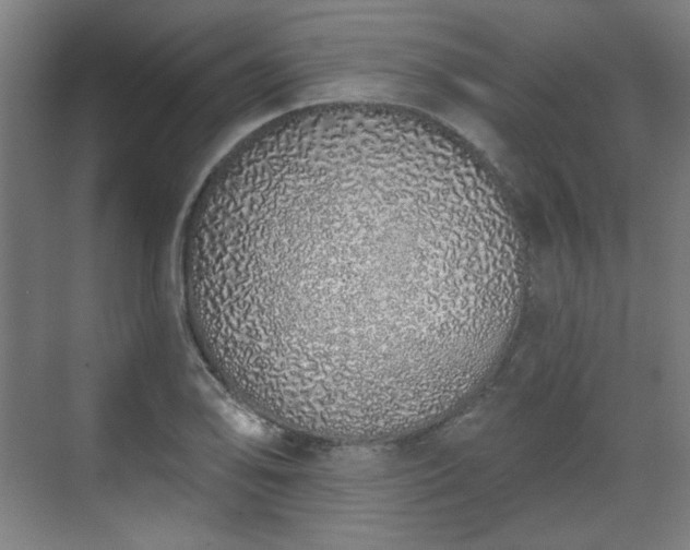 X0000071941078200607141427