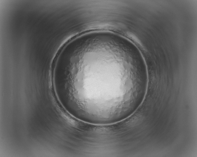 X0000071941079200607141427