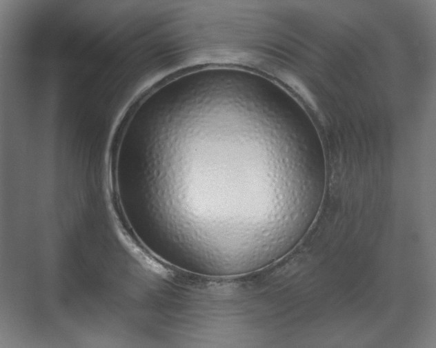 X0000071941080200607141427