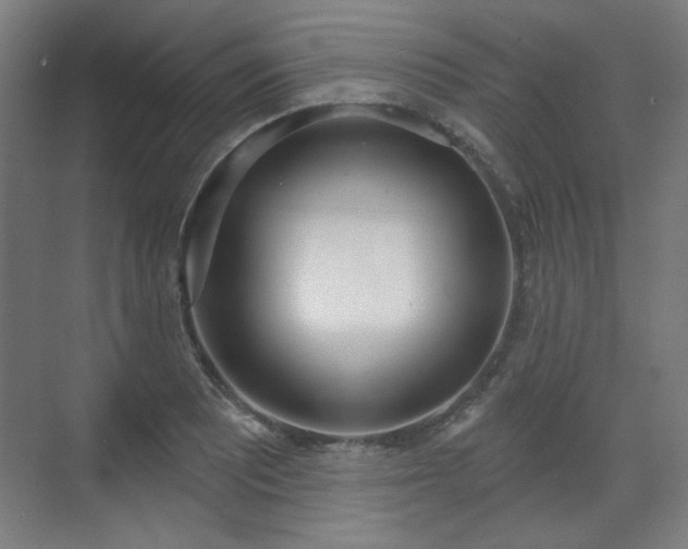 X0000071941081200607141427