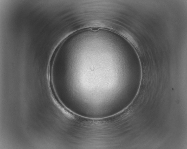 X0000071941084200607141427