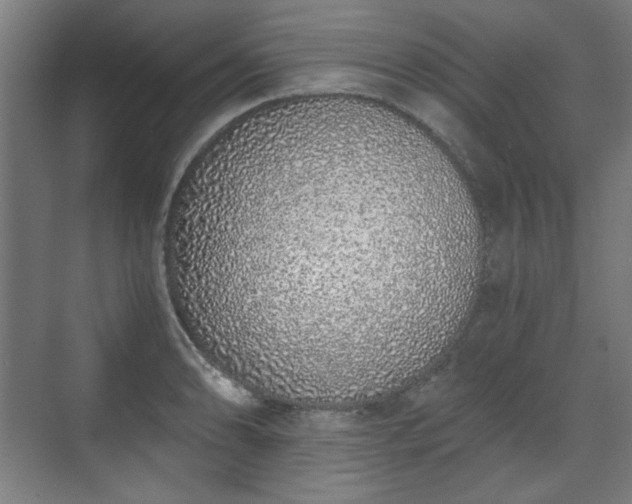 X0000071941086200607141427