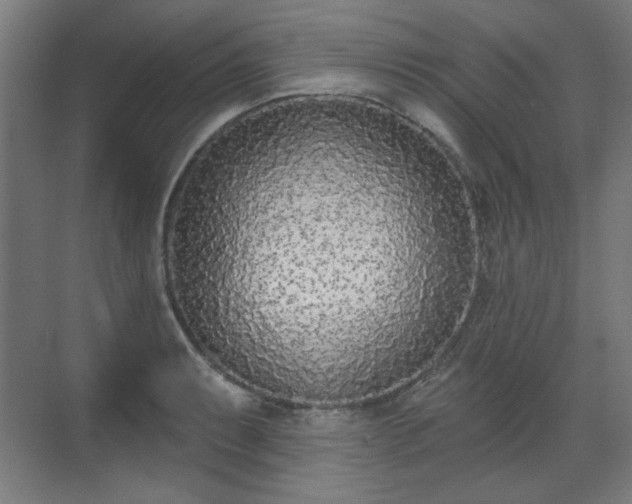 X0000071941087200607141427
