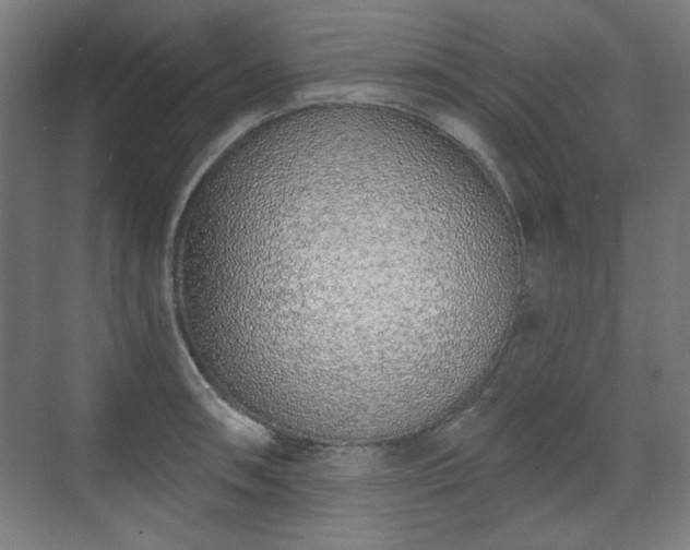 X0000071941090200607141427