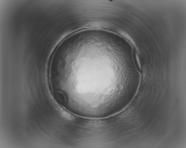 X0000071941091200607141427