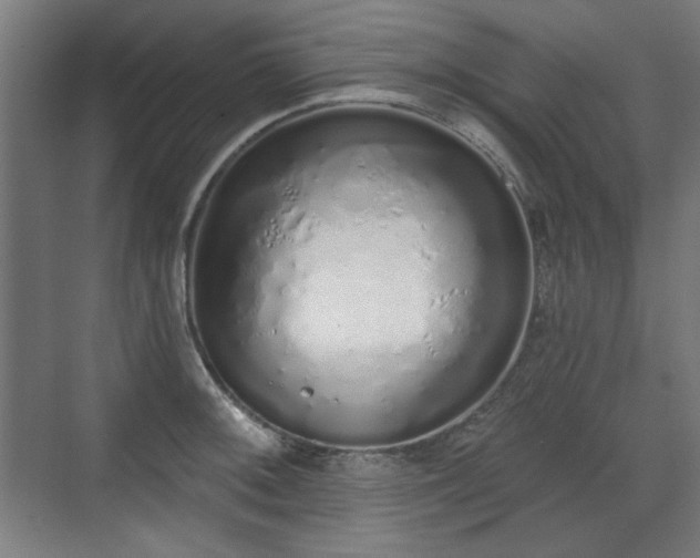 X0000071941092200607141427