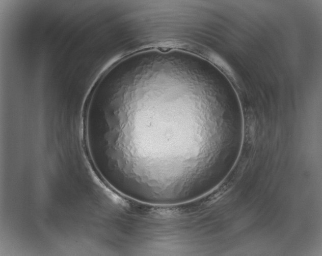 X0000071941095200607141427