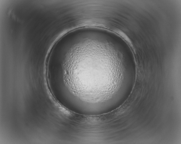 X0000071941096200607141426