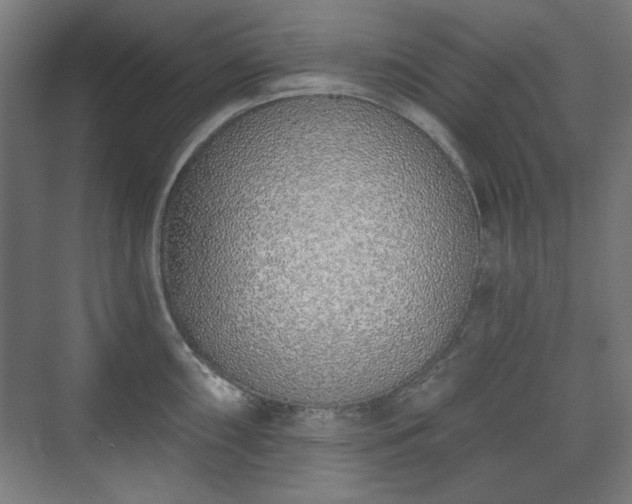 X0000071941098200607141426