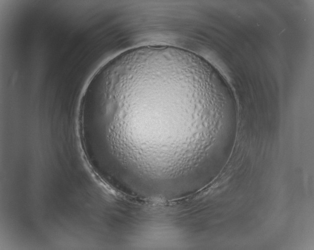 X0000071941104200607141426