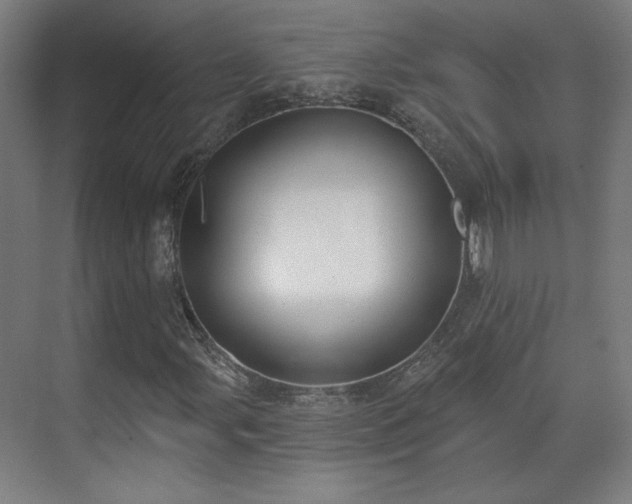 X0000071941107200607141426