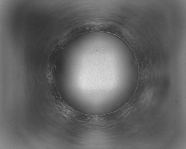 X0000071941109200607141426