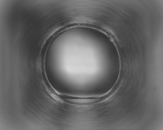 X0000071941114200607141426
