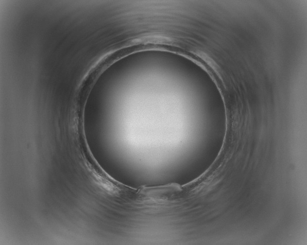 X0000071941115200607141426