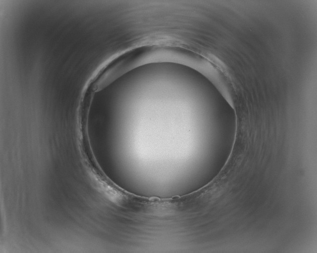 X0000071941120200607141426