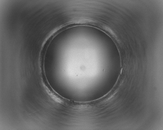 X0000071941122200607141426