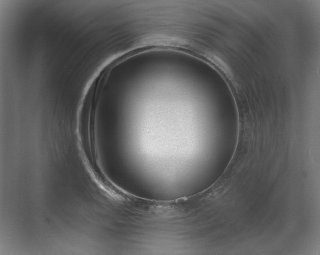 X0000071941128200607141426