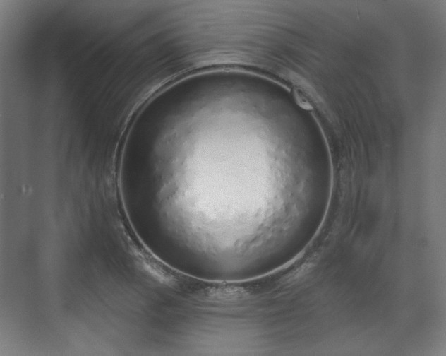 X0000071941129200607141426
