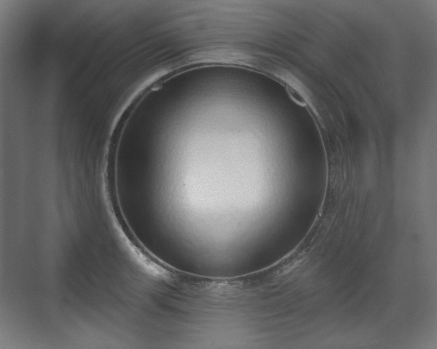X0000071941139200607141426