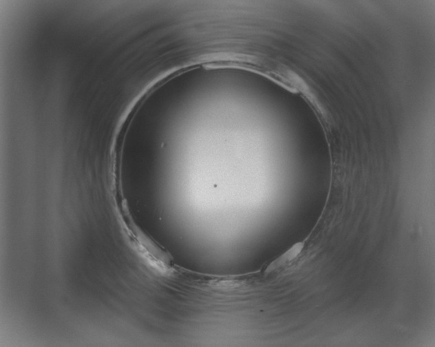 X0000071941140200607141426