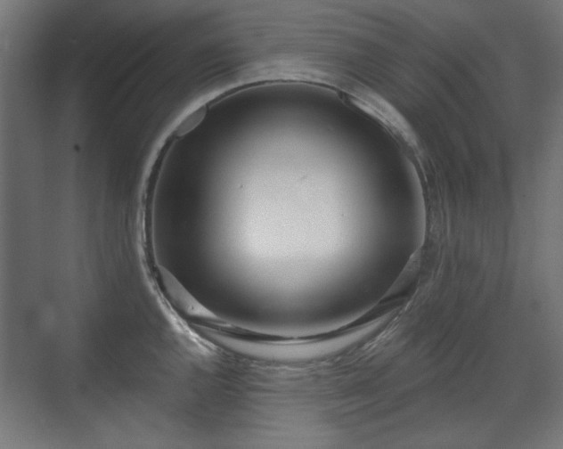 X0000071941144200607141426