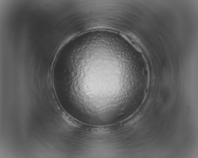 X0000071941145200607141426