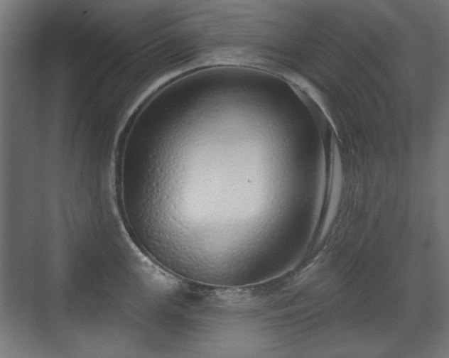 X0000071941147200607141426