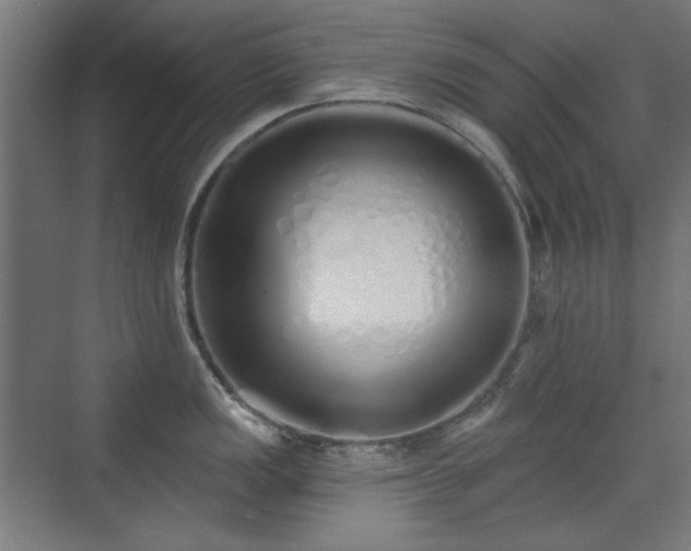 X0000071941149200607141426