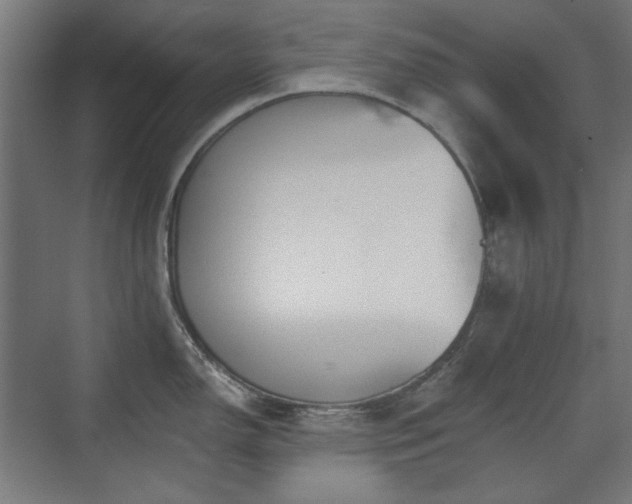 X0000071941150200607141426