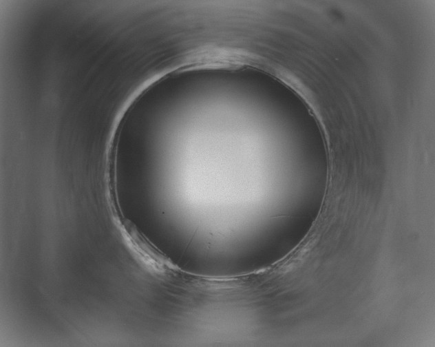 X0000071941152200607141426