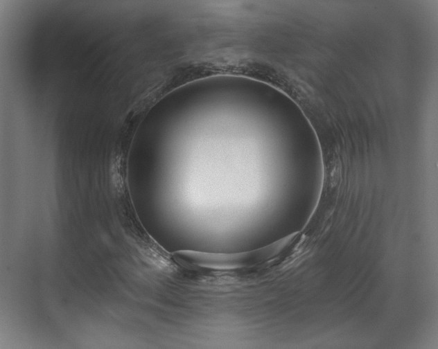 X0000071941156200607141425
