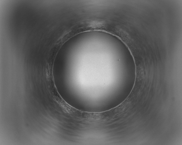 X0000071941158200607141425