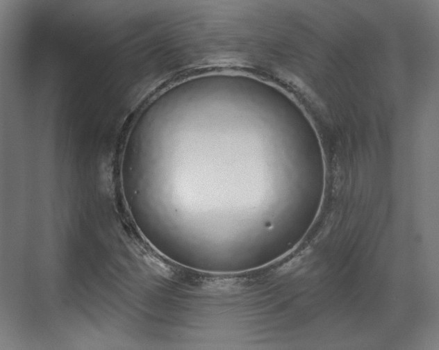 X0000071941162200607141425