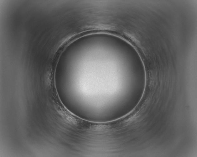 X0000071941163200607141425