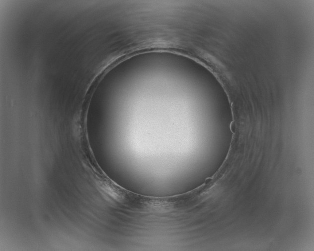 X0000071941170200607141425