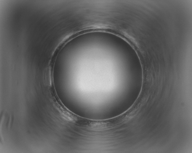 X0000071941171200607141425