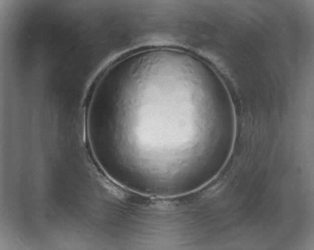 X0000071941175200607141425