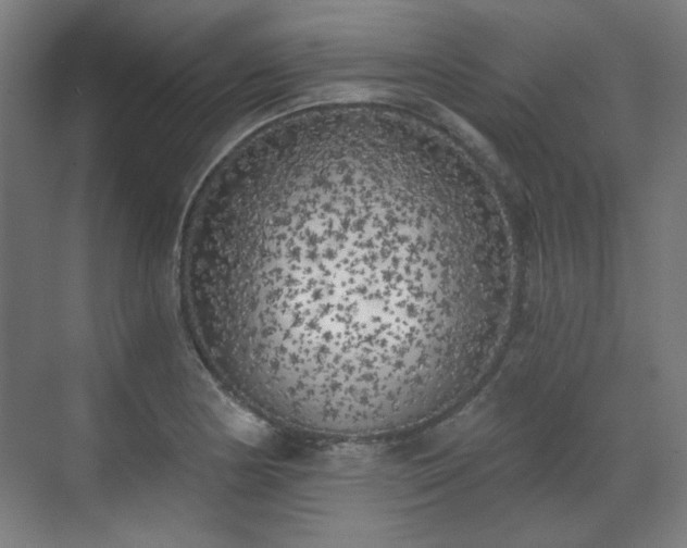 X0000071941178200607141425