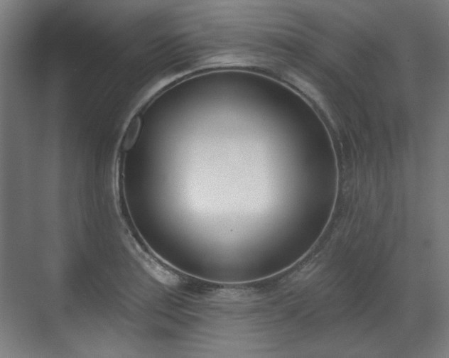 X0000071941179200607141425