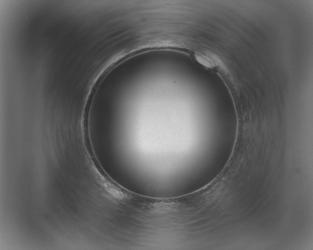 X0000071941181200607141425
