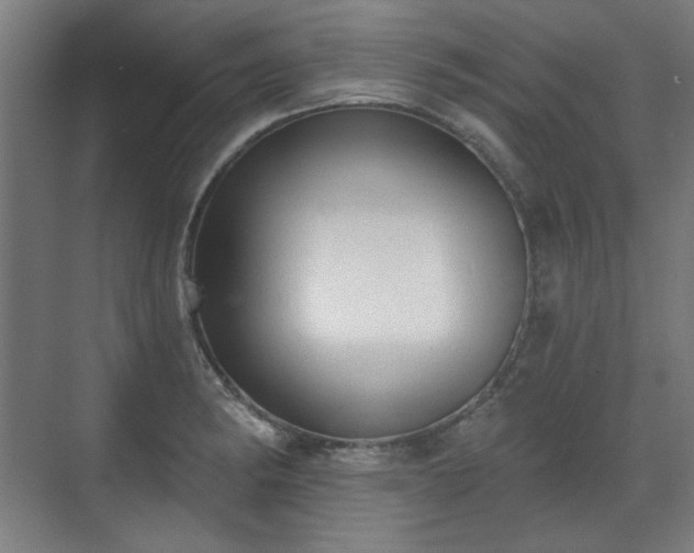 X0000071941182200607141425