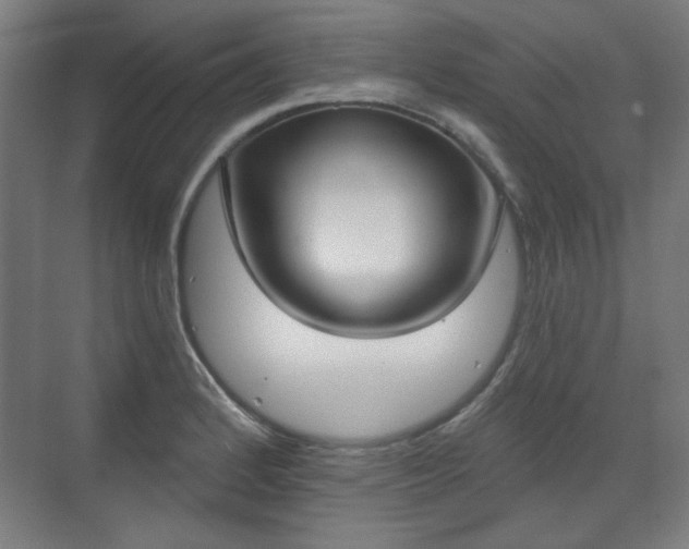 X0000071941184200607141425