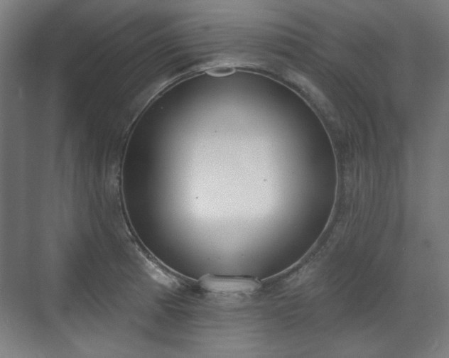 X0000071941185200607141425